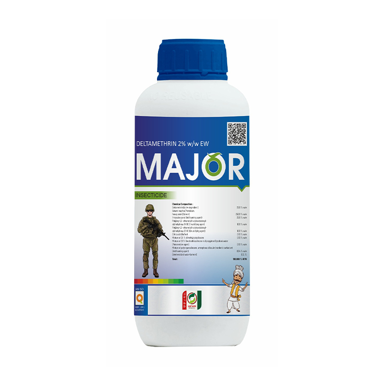 major
